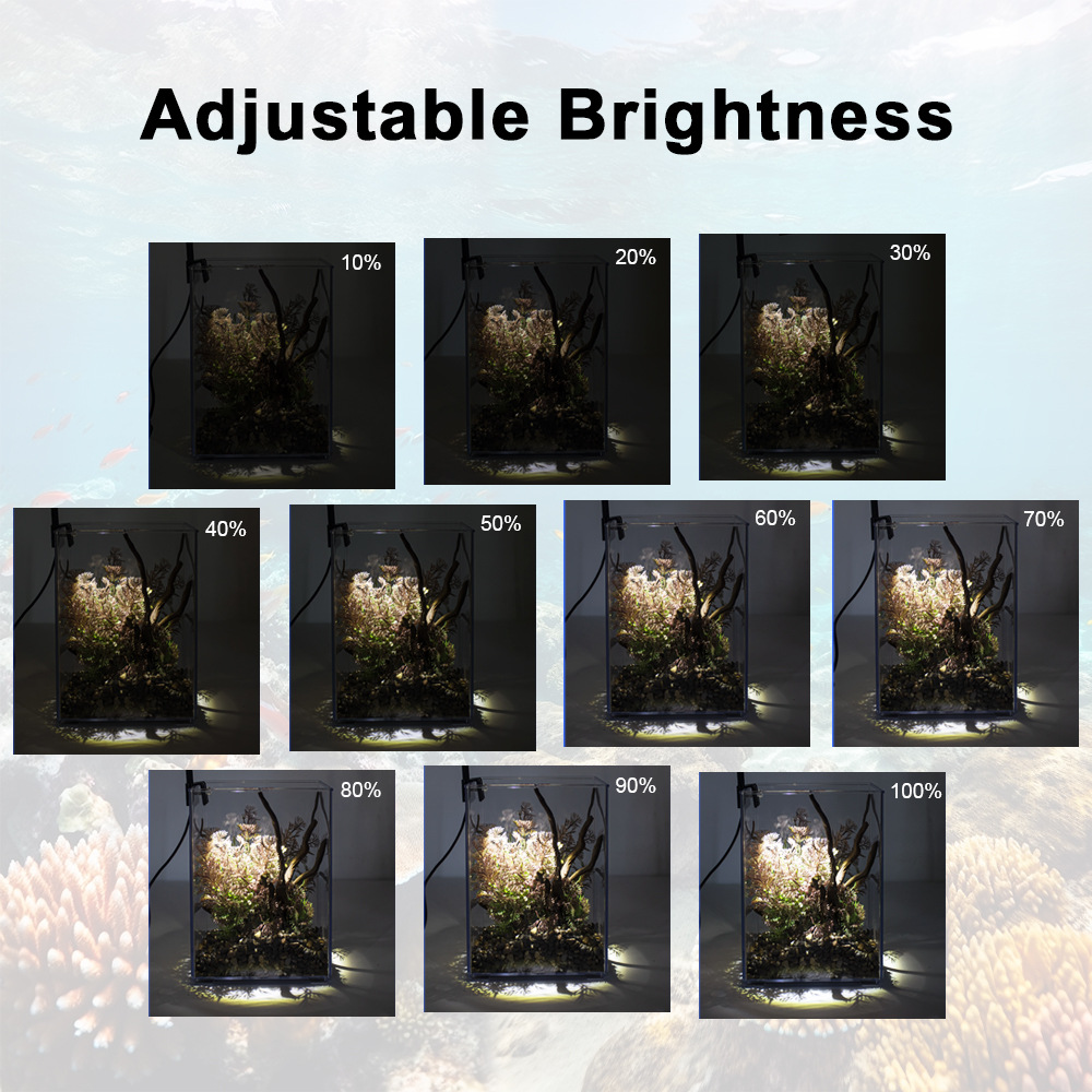 LED クリップオン水槽ライト ミニネイティブタンク用小型ス - Marine Aquarium Mini のレビューと価格