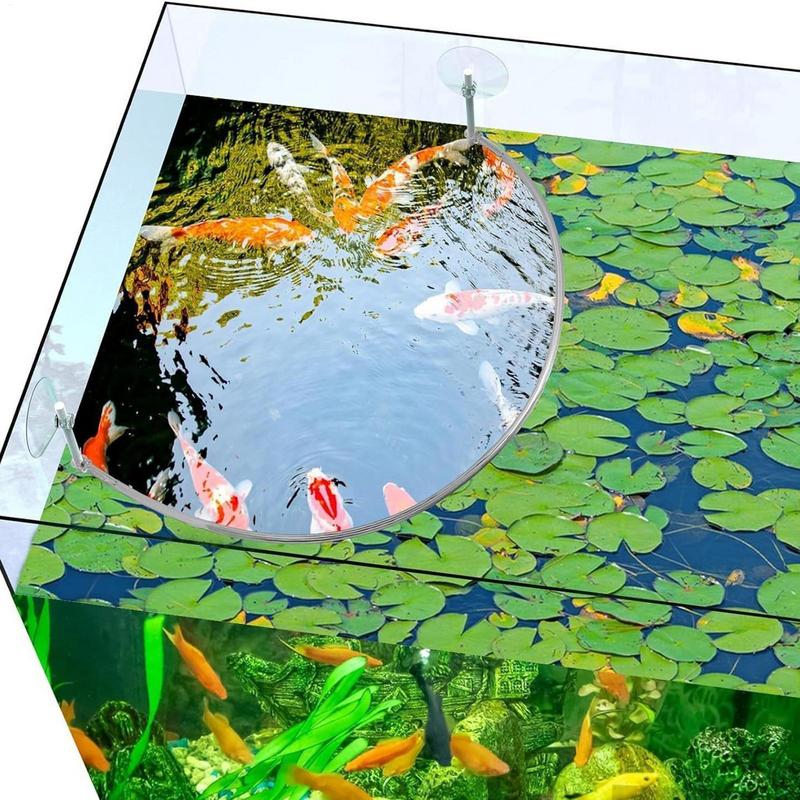 浮遊植物囲い魚の給餌リングは浮遊植物を分離して保護します給餌 - Aquarium Marine Filter のレビューと価格