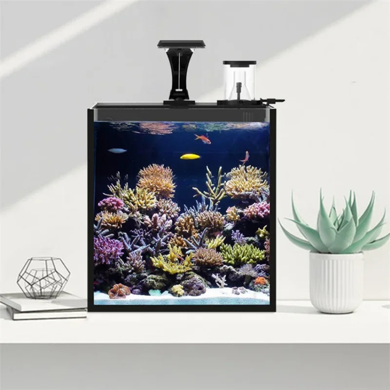 超クリアガラス製ミニ海水魚水槽（海水魚用）大特価販売中 - Marine Aquarium Tank For Sale のレビューと価格