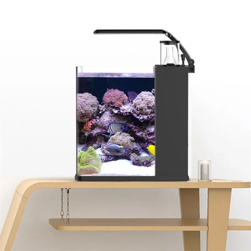 超クリアガラス製ミニ海水魚水槽（海水魚用）大特価販売中 - Marine Aquarium Tank For Sale のレビューと価格